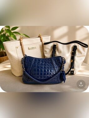Curated Vera Wang Navy Patent Bag + 2 Neutral Tote Set